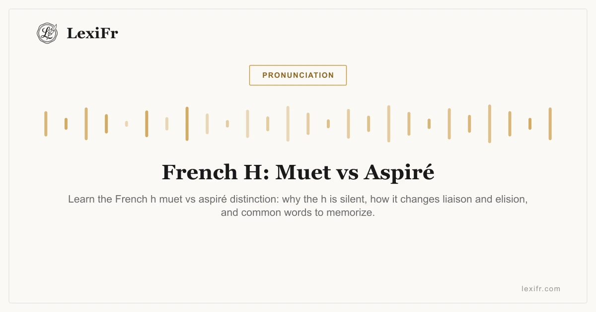 French H: Muet vs Aspiré - article illustration