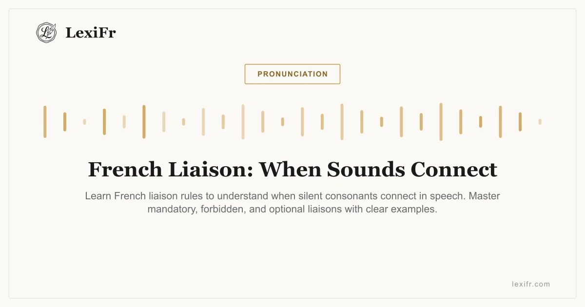 French Liaison: When Sounds Connect - article illustration