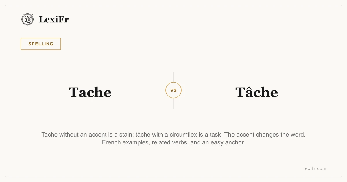 Tache vs Tâche: Accent, Meaning, and Examples - article illustration