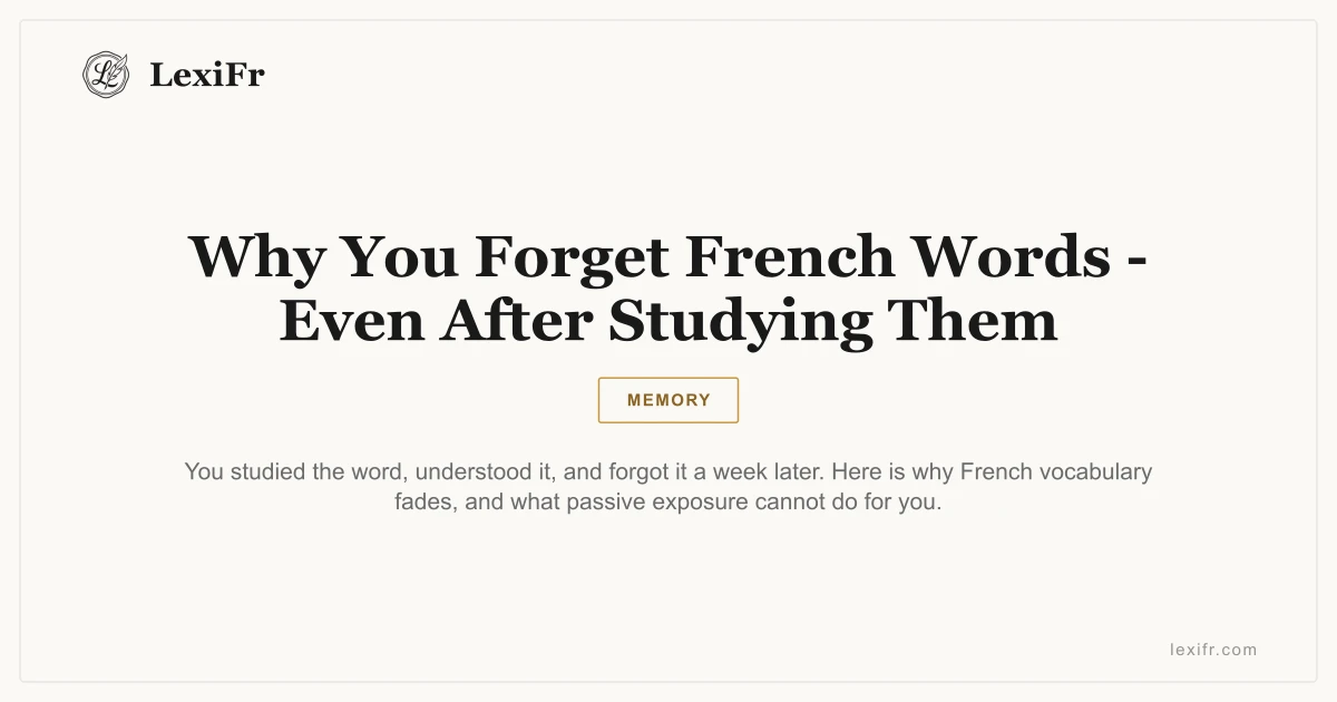 Why You Forget French Words - Even After Studying Them - article illustration